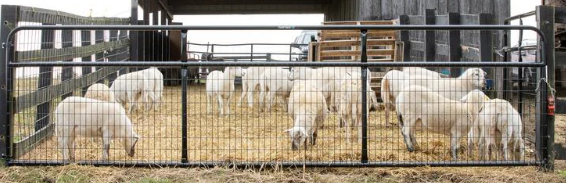Custom welded ranch gate